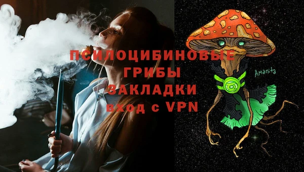 марки lsd Богородицк